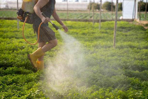 Best Pest Removal Services  in Plafield, IN