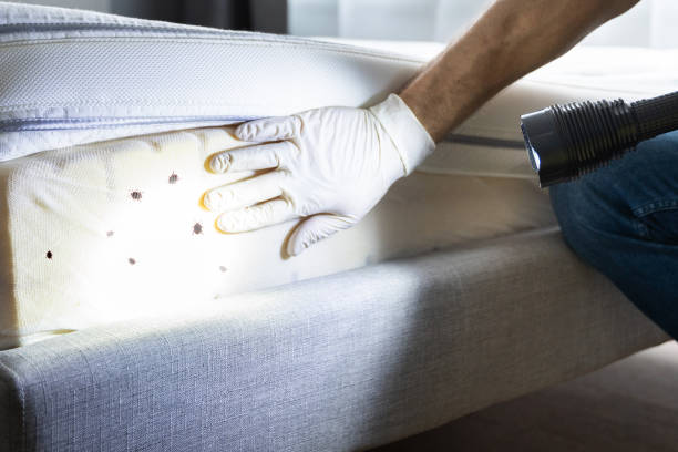 Best Wildlife Control Services  in Plafield, IN