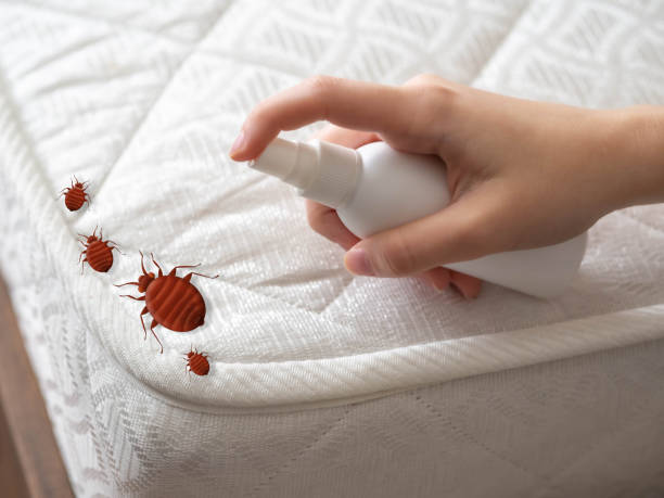 Best Pest Prevention Services  in Plafield, IN