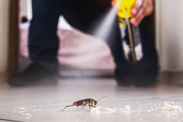 Pest Control Cost in Plainfield, IN